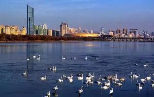 三門峽又一網(wǎng)紅景點，確定不來pick一下？